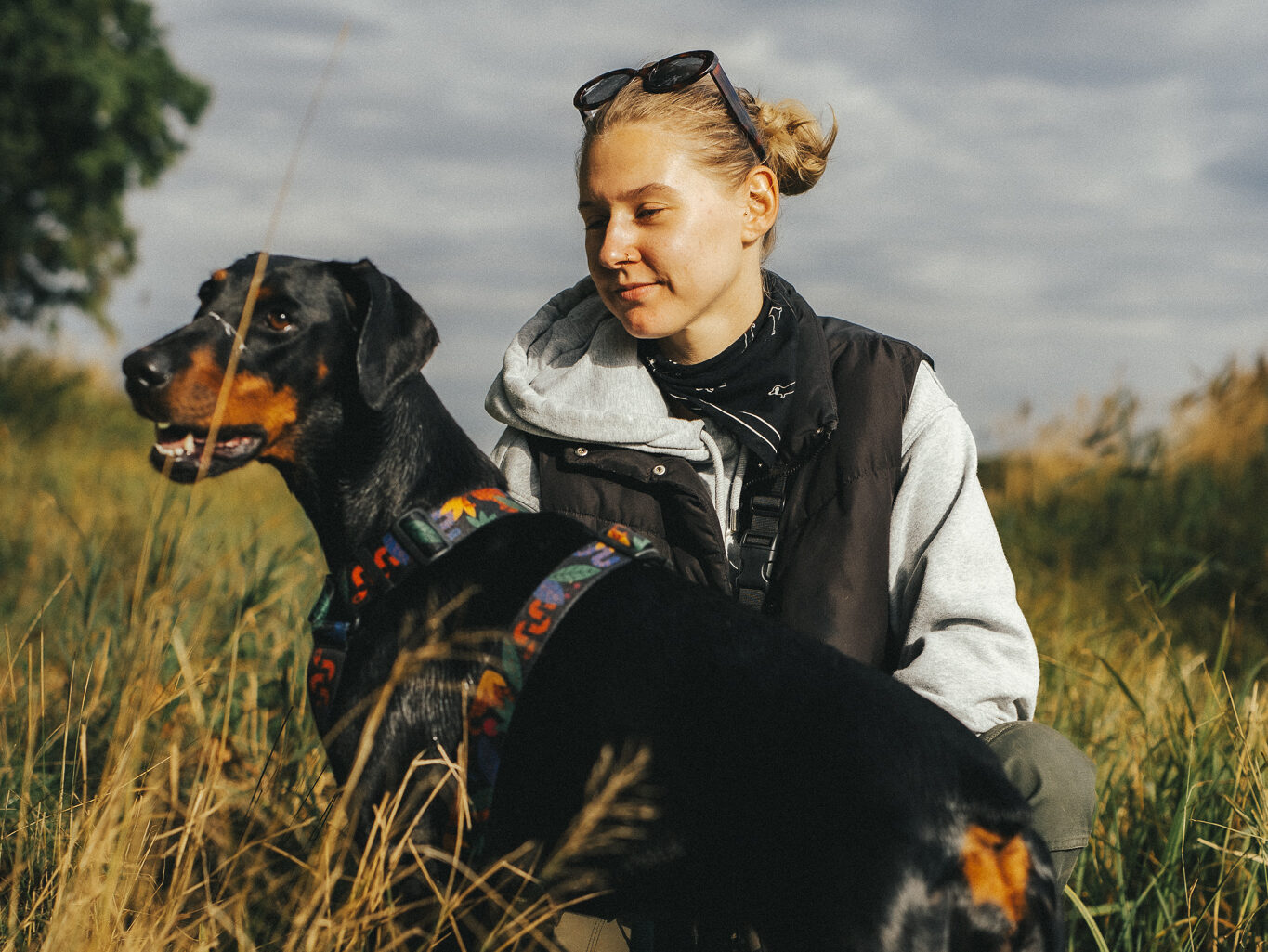 praca behawioralna z psem przejawiającym agresję i reaktywność