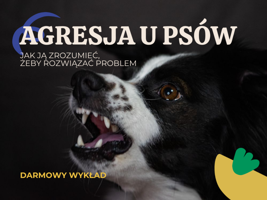 darmowe wydarzenie dla opiekunów psa wrocław